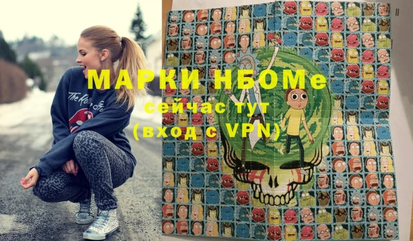 хмурый Абаза
