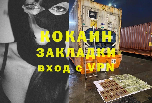 кокс Алексин